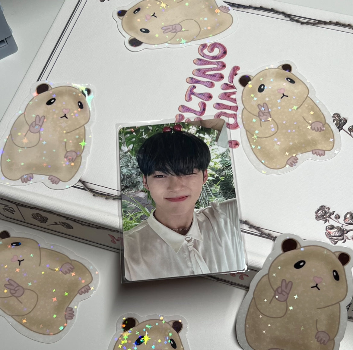Zerobaseone Hanbin Ddungjjungham Hambin Sticker