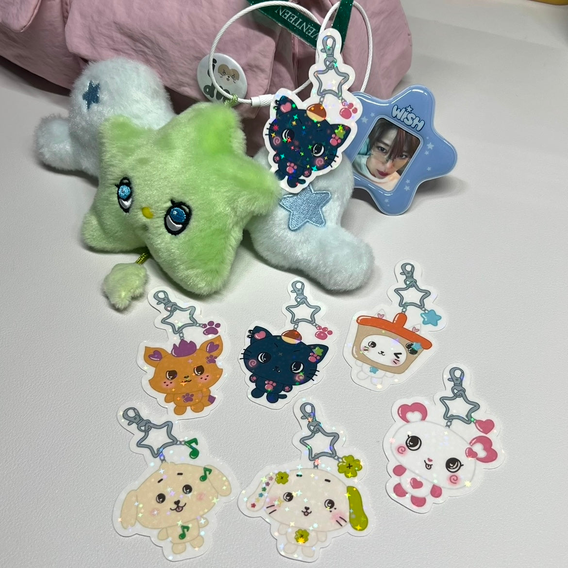 Nct Wish keychain sticker set