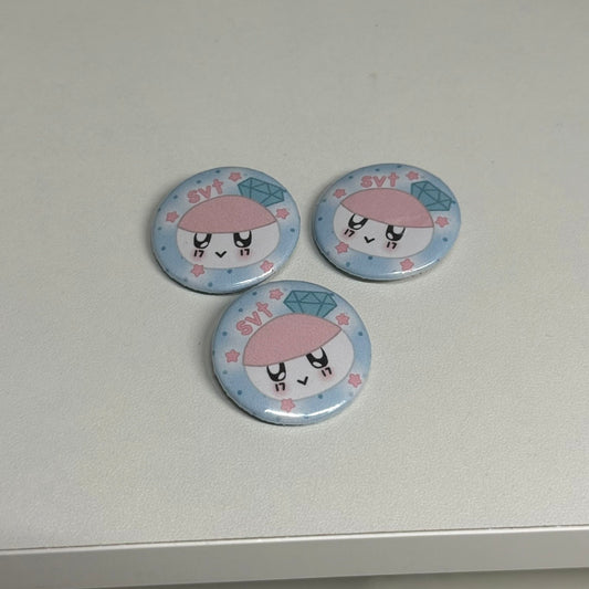 Seventeen pins